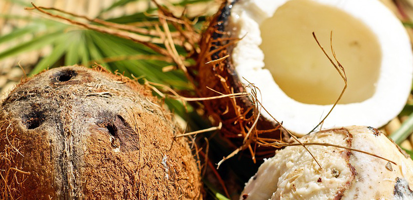 Wie wird Kokosoel gewonnen